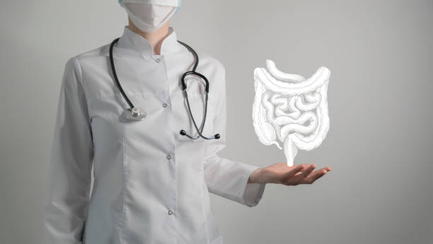 Gastroenterologist doctor, intestine specialist. Aesthetic handdrawn highlighted illustration of human intestine. Neutral grey background, studio photo and collage. Intestine issues medical concept. Photo of female doctor, empty space. human intestine stock pictures, royalty-free photos & images