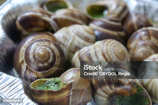 Fondo De Caracoles - Banco de fotos e imágenes de stock - iStock Fondo De Caracoles - Banco de fotos e imágenes de stock - iStock