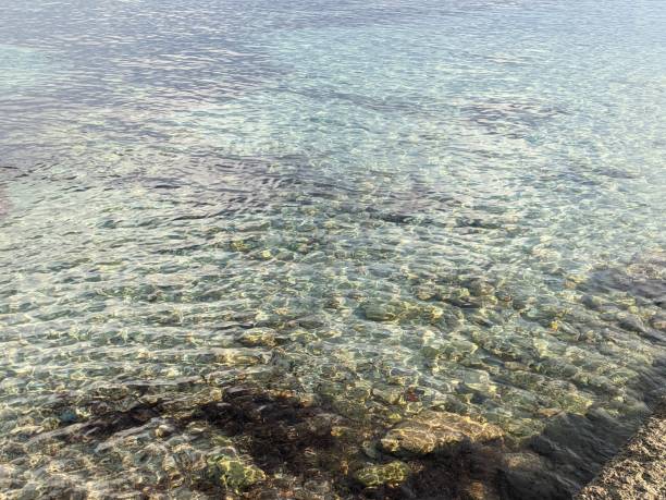istock Transparent water on a tropical ocean coast. Summer holydays concept 1360828402