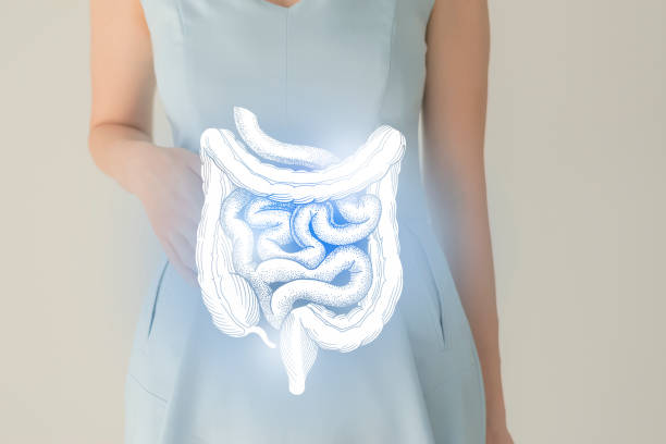 Woman in blue clothes holding virtual intestine in hand. Handrawn human organ, detox and healthcare, healthcare hospital service concept stock photo Unrecognizable female patient in blue clothes, highlighted handrawn intestine in hands. Human digestive system issues concept. human intestine stock pictures, royalty-free photos & images
