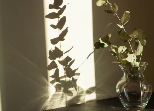 istock The play of light and shadow 1360833817