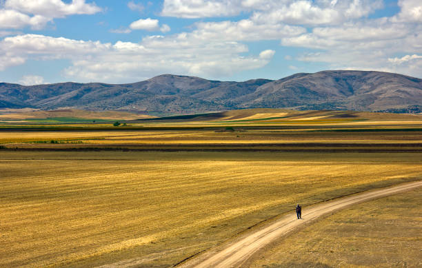 paisaje de estepa - estepa fotografías e imágenes de stock