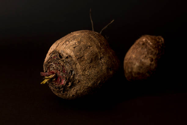 Beetroot