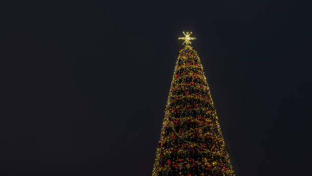 istock Lights of christmas tree blurred bokeh on dark background with copy space. Abstract festive background. 1360839031