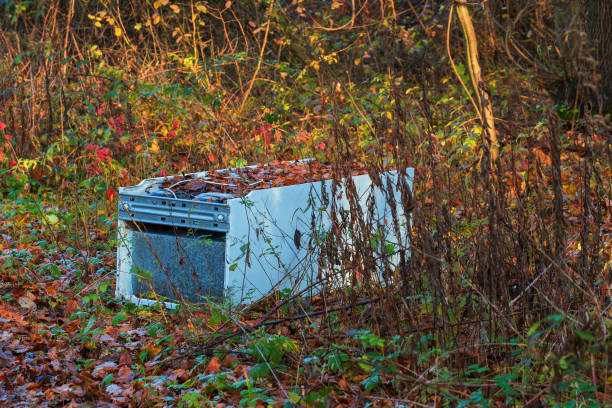 istock Old big white fridge thrown in the woods. Unauthorized landfill. 1360841192