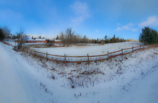 paisaje rural con granja y vacas en el invierno canadiense - cattle cow hill quebec fotografías e imágenes de stock