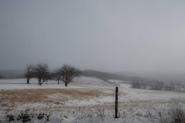 paisaje rural con granja y vacas en el invierno canadiense - cattle cow hill quebec fotografías e imágenes de stock