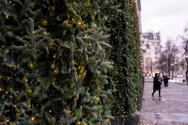 istock Christmas tree. Preparing for the New Year 1360845982
