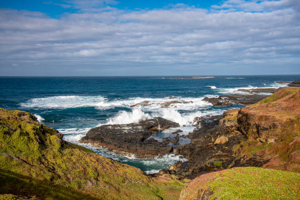istock Phillip Island Coastline 1360847737