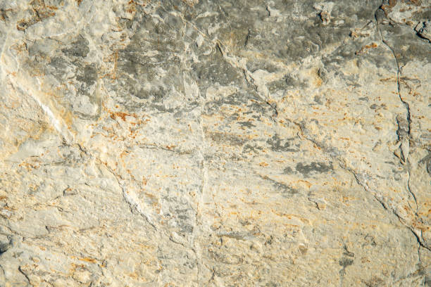istock An old white cracked wall. Image suitable for white background 1360848569