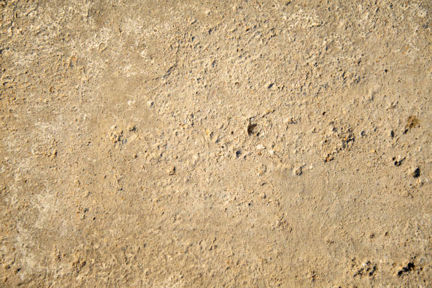 istock Image of soil ground texture. Image suitable for the background 1360850016