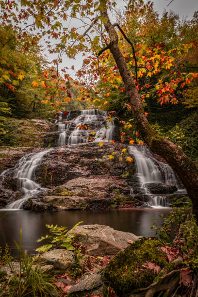 istock Gorgeous waterfall among autumn leaves 1360850406