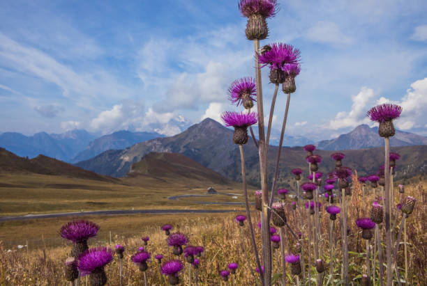 istock Mountain View of the Italian Dolomites 1360855974