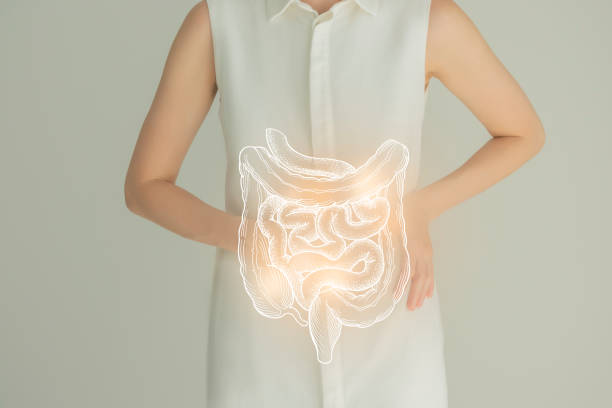 Woman in white clothes holding virtual intestine in hand. Handrawn human organ, detox and healthcare, healthcare hospital service concept stock photo Unrecognizable female patient in white clothes, highlighted handrawn intestine in hands. Human digestive system issues concept. human intestine photos stock pictures, royalty-free photos & images