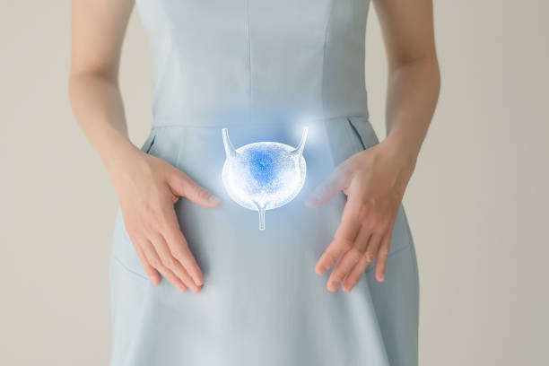 Woman in blue clothes holding virtual bladder in hand. Handrawn human organ, detox and healthcare, healthcare hospital service concept stock photo Unrecognizable female patient in blue clothes, highlighted handrawn bladder in hands. Human renal system issues concept. kidney failure photos stock pictures, royalty-free photos & images