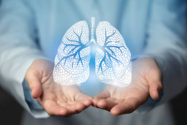 Pulmonologist doctor, lungs specialist. Aesthetic handdrawn highlighted illustration of human lings. Neutral grey background, studio photo and collage. Lungs issues medical concept. Photo of female doctor, empty space. medical oxygen stock pictures, royalty-free photos & images