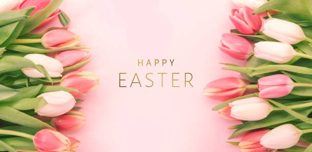 istock Spring Easter composition with pink tulips flowers on pastel background. Flat lay, top view, copy space 1360867649