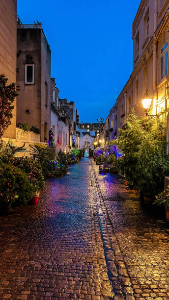 istock Mews Christmas Decorations 1360873576