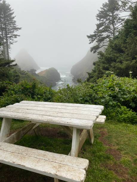 istock Beauty Ocean beach in WestCoast 1360878335