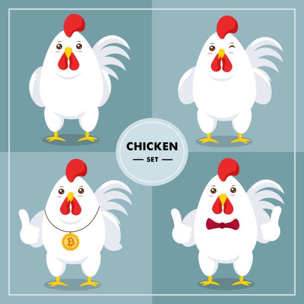 Chicken rooster cartoon set Chicken rooster cartoon set vector illustration chicken thumbs up design stock illustrations