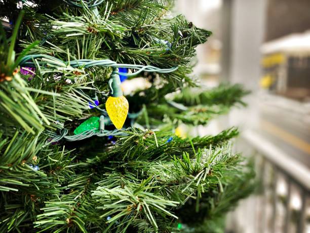 istock Close Up of Christmas Tree and Lights - Outside 1360895336