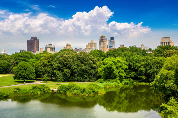 istock Central Park in New York 1360898795