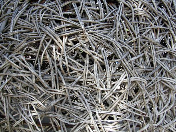 istock Abstract pattern of bamboo or rattan woven background. 1360899540