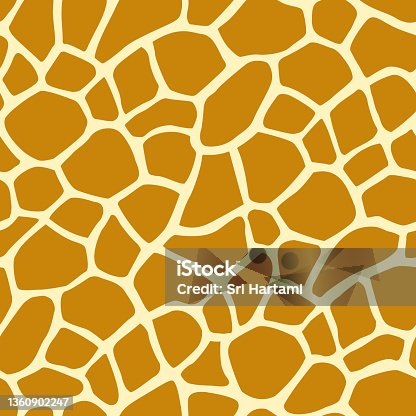 Giraffe Rim Pattern Giraffe Pattern