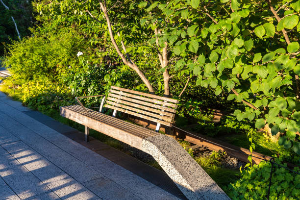 ニューヨークのハイラインパーク - nyc greenway ストックフォトと画像