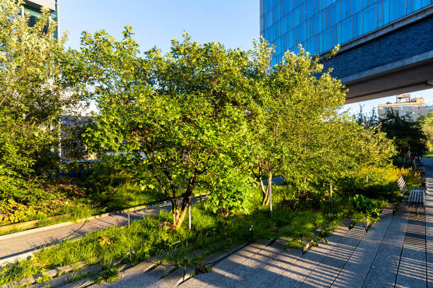 High Line park in New York High Line park in Manhattan in New York City, NY, USA highlining stock pictures, royalty-free photos & images