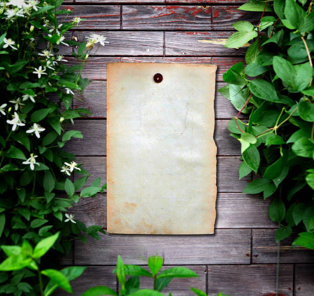 istock Old Paper on Wooden Wall 1360905025