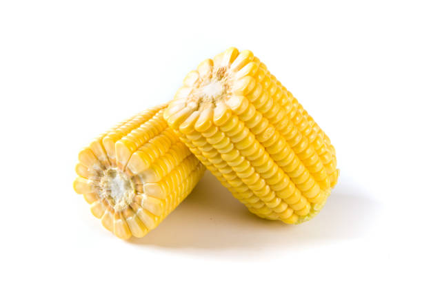 свежие полукорневые початки, выделенные на белом фоне - corn on the cob стоковые фото и изображения