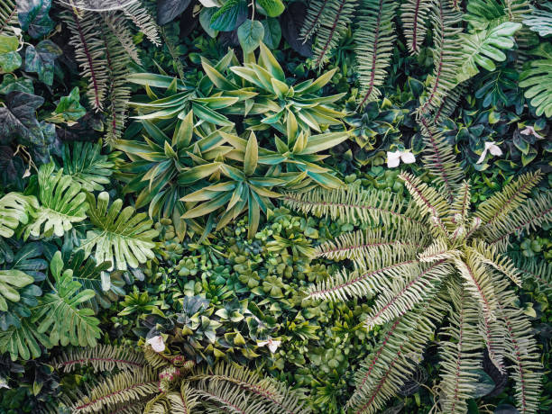 istock Full Frame Background of Various Kinds of Green Artificial Plants Wall 1360923510