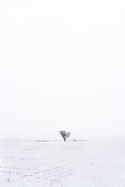 istock Minimalist snowy landscape with copy space. Vertical photo. 1360926634
