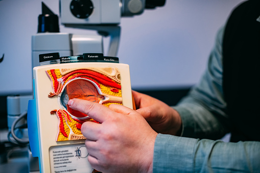 Optometry Eye Model Doctor Giving Information On Eye Model Stock Photo - Download Image Now ...