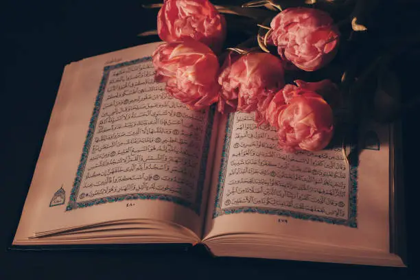 Kazan, Russia - 03 March 2021. Holy Quran on a black background with flowers. Tulips. Ramadan. Reading the Quran. Ramadan concept.