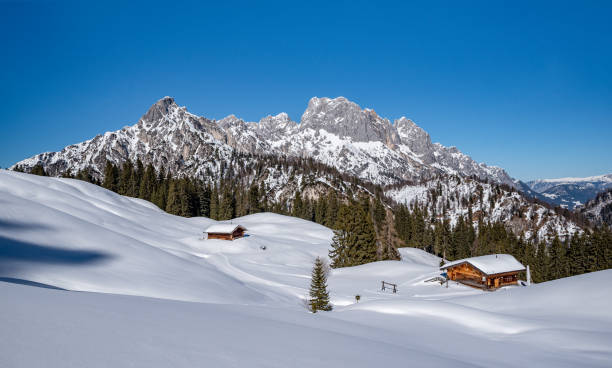 magnifique paysage hivernal autrichien dans le salzburger land, pinzgau, autriche - tirol north tirol hut austria photos et images de collection