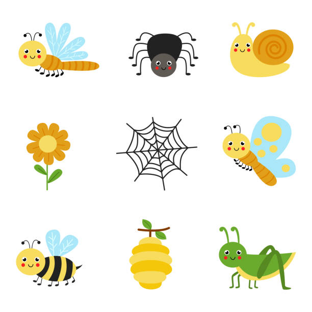 Set of cute colorful insects on white background. Set of cute insects on white background. painted grasshopper stock illustrations