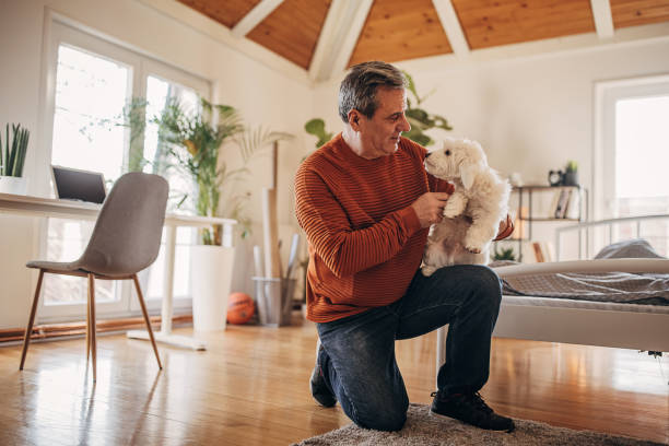 istock A man is playing with a pet, a dog in an apartment 1360941869