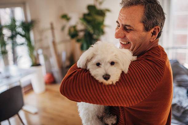 istock A man is playing with a pet, a dog in an apartment 1360941948