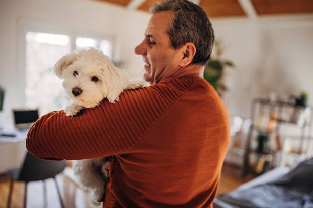 istock A man is playing with a pet, a dog in an apartment 1360942023