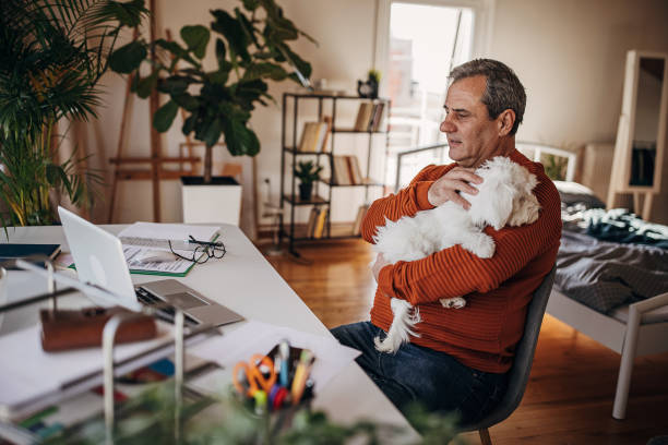 istock Businessman working from home, video call 1360946004