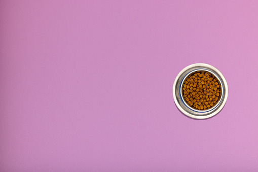 Cat food on color background