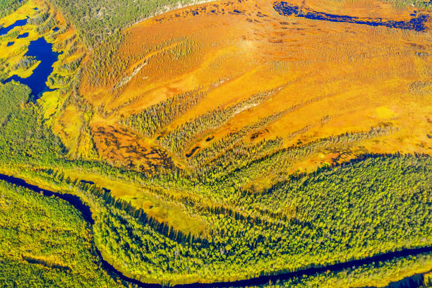 istock Autumn landscape. West Siberian Plain. Aerial view. 1360952124