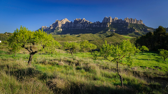 Spring afternoon among green fields near Marganell with Montserrat in the background (Barcelona province, Catalonia, Spain)