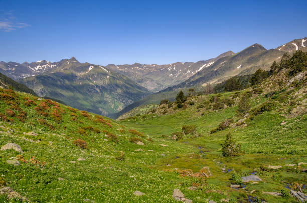 Sorteny Valley, seen from the way up to the Pic de la Serrera (Andorra, Pyrenees) stock photo