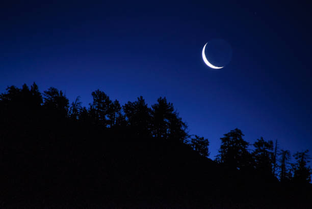 Moon rising above the forest of the Bouillouses cataloged natural area (Pyrenees Orientales, Occitanie, France) stock photo