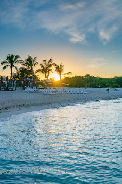 istock caribbean sea palm trees paradise 1361008636