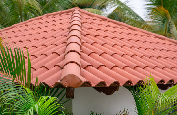 istock red tile roof palm 1361008686