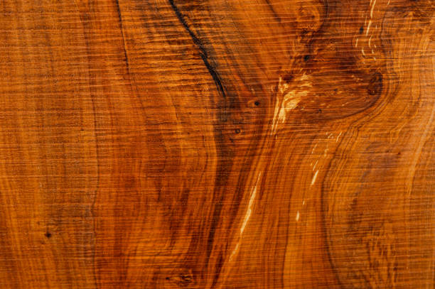 istock Wood texture, wood background. Apple tree (Malus pumila, Malus domestica). Realistic natural light wood texture. 1361013196